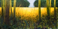 Le champ d'or, acrylique sur toile, 400X200cm. Disponible