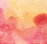 le_chemin_qui_sent_la_bergamote_aquarelle_sur_papier_26X26