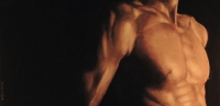 epaule_et_pectoraux_huile_sur_bois_enduit_50X24