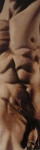nu_masculin_13x49