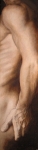 nu_masculin_13x49_(1)