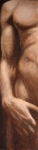 nu_masculin_13x49_(2)