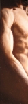 nu_masculin_13x49_(4)