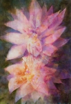 Waterlilies, acrylic ink on canvas, 55X81 cm. Sold.