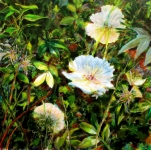 Fabienne Monestier Les hautes herbes, acrylique sur toile, 90X90. Vendu